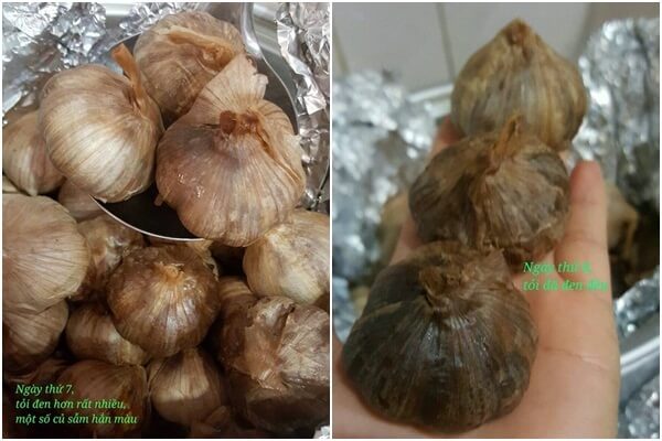 Bí kíp làm tỏi đen chỉ trong 2 tuần 52 cách làm tỏi đen