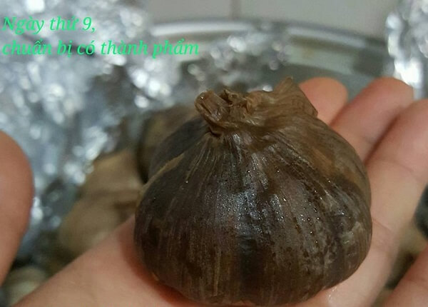 Bí kíp làm tỏi đen chỉ trong 2 tuần 53 cách làm tỏi đen