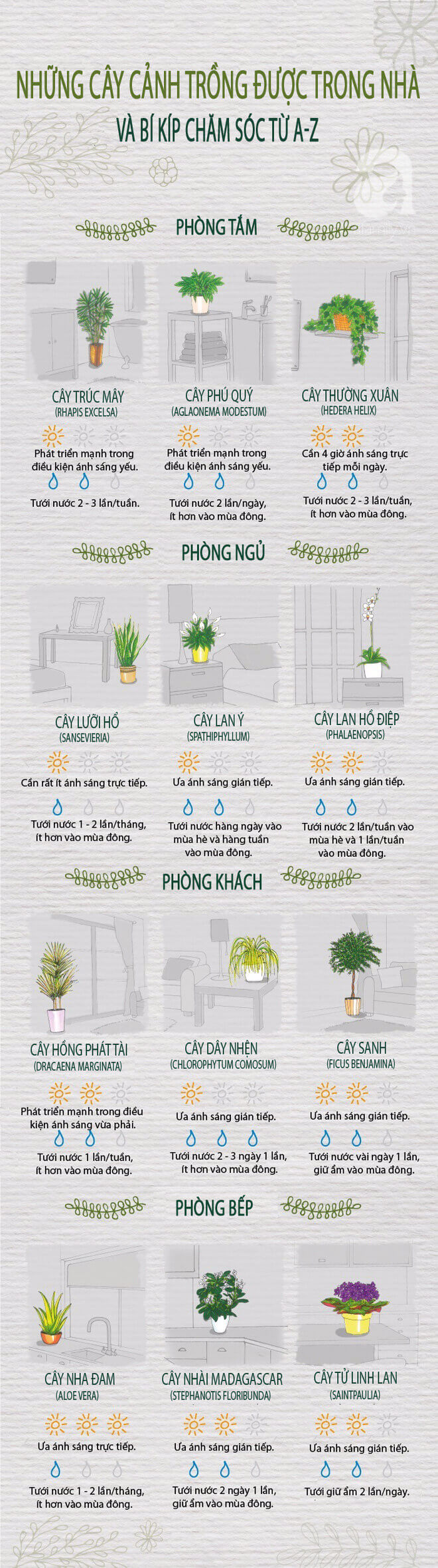 Bí kíp chăm sóc từ 12 loại cây cảnh trồng trong nhà 33 Bí kíp chăm sóc từ 12 loại cây cảnh trồng trong nhà 5
