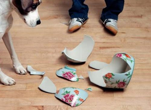 Bí quyết đào tạo bé trở thành "người đàn ông chăm chỉ" 13