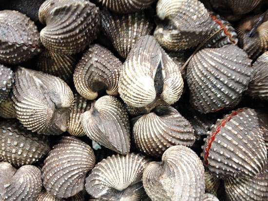Bí quyết hay để chọn mua và rửa sạch nghêu sò ốc hến 36 sò huyết