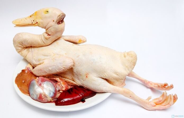 Bí quyết làm vịt siêu nhanh, siêu sạch 34 cac buoc vat long vit