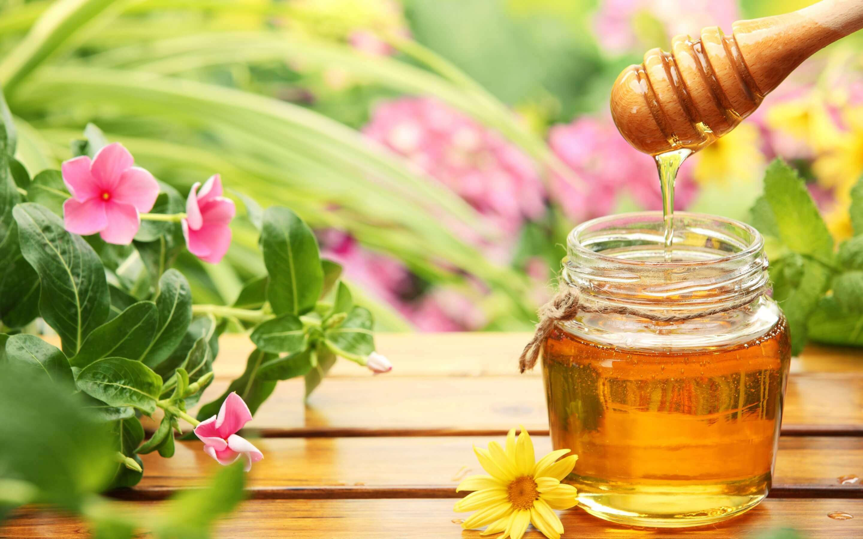 uống mật ong trước khi ngủ