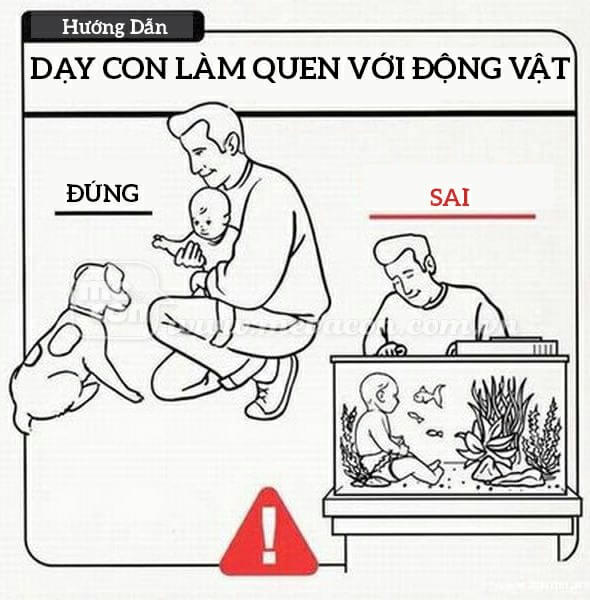 Bộ tranh hướng dẫn cách chăm con từ A-Z cho bố mẹ trẻ 62 Bộ tranh hướng dẫn cách chăm con từ A-Z cho bố mẹ trẻ 34