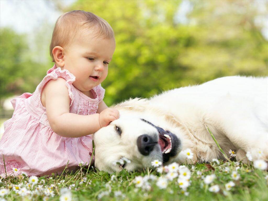 Bồi dưỡng lòng yêu thương con trẻ bằng tình yêu động vật 35 Bồi dưỡng lòng yêu thương con trẻ bằng tình yêu động vật 7