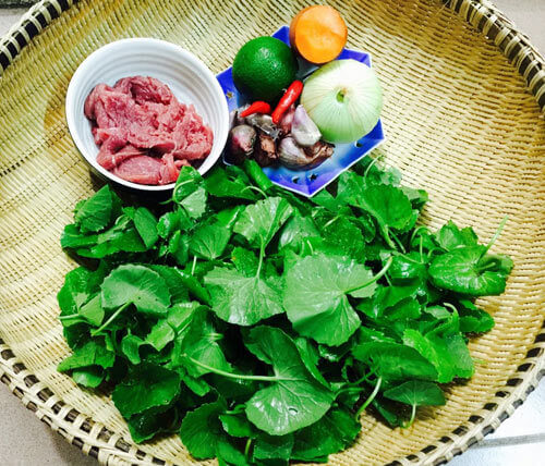 Bữa cơm ngày nóng nhẹ tênh nhờ món gỏi rau má thịt bò 44 gỏi