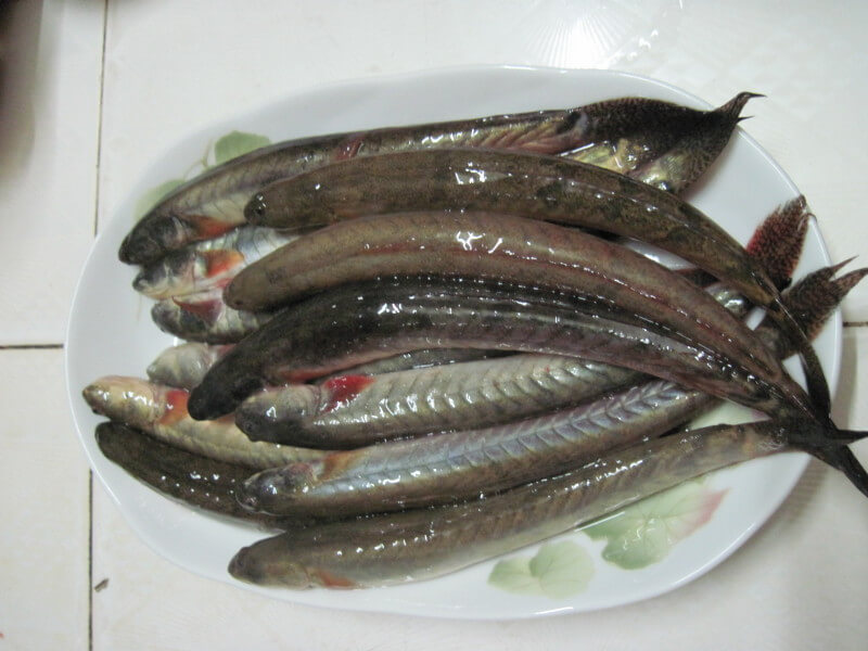 Cá kèo kho rau răm cho ngày mưa ngon cơm 35 ca-keo