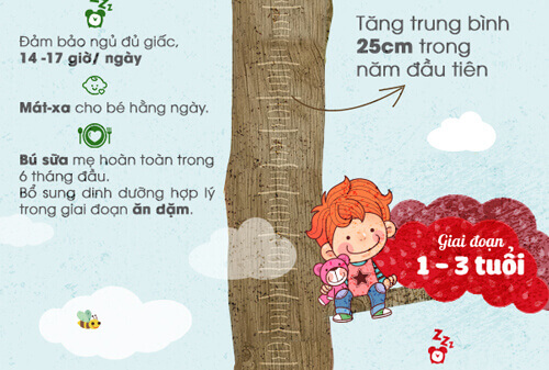 Các cột mốc phát triển và nuôi dưỡng chiều cao cho con, phụ huynh nào cũng cần biết 38 Các cột mốc phát triển và nuôi dưỡng chiều cao cho con1