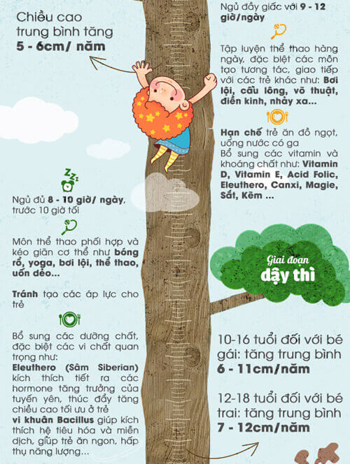 Các cột mốc phát triển và nuôi dưỡng chiều cao cho con, phụ huynh nào cũng cần biết 40 Các cột mốc phát triển và nuôi dưỡng chiều cao cho con3