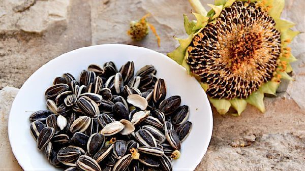 Các loại hạt tốt cho bé mẹ nên bổ sung vào thực đơn hàng ngày 42 các loại hạt tốt cho bé