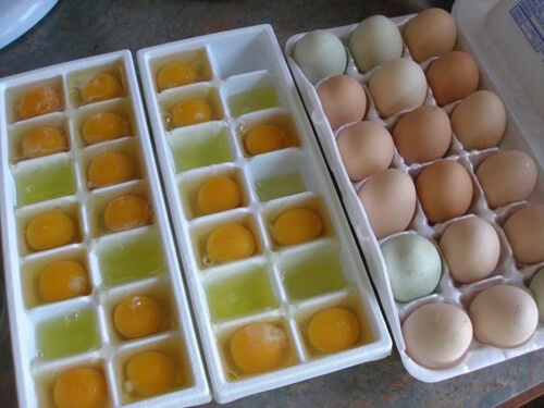 Các loại thực phẩm nên trữ đông để tránh lãng phí 35 Các loại thực phẩm nên trữ đông để tránh lãng phí 7