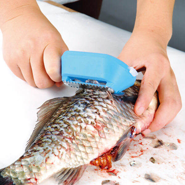 Cách làm keo vảy cá chữa bệnh, bồi bổ cho cả nhà 37 Cách làm keo vảy cá chữa bệnh, bồi bổ cho cả nhà 9