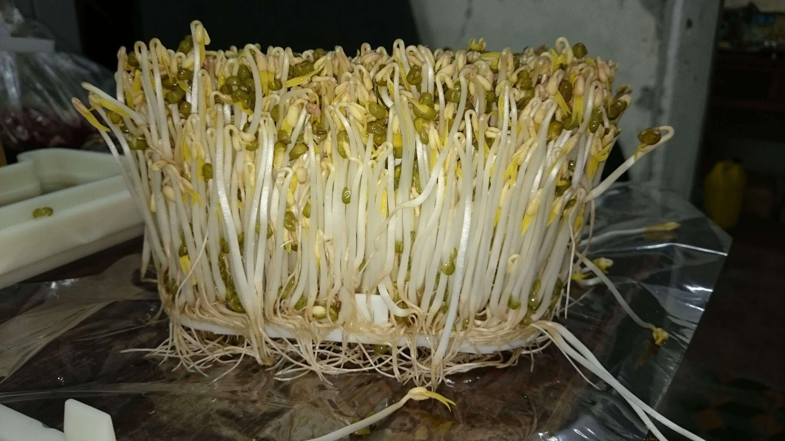 Cách phân biệt rau "ngậm" hóa chất và rau sạch 45 gia-sach