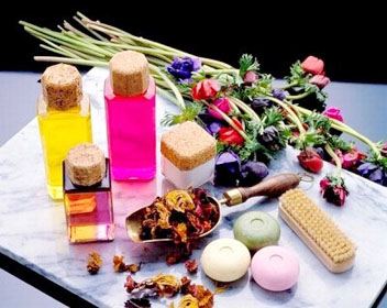 Cách sử dụng mỹ phẩm cho bà bầu không ảnh hưởng đến thai nhi 52 my-pham