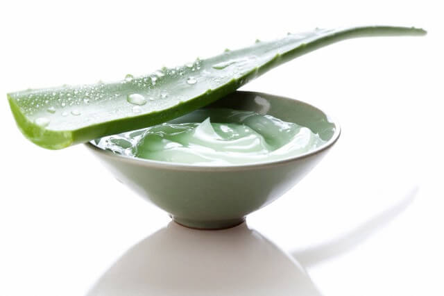 “Cấp cứu” làn da bị cháy nắng bằng sữa tươi, nha đam và trà xanh 38 nha đam