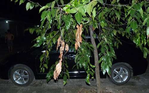 Cha mẹ bất cẩn, con nguy kịch 37 cha-me-bat-can-con-nguy-kich