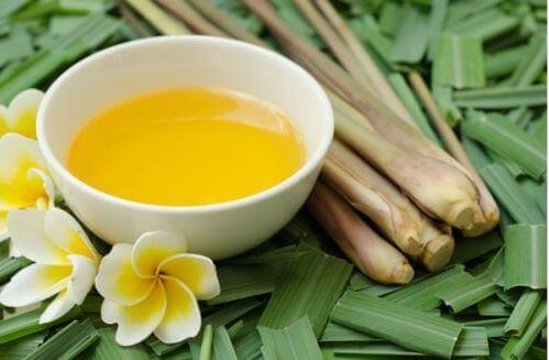 Chi tiết các bước làm tinh dầu nguyên chất tại nhà cho phái đẹp 50 Chi tiết các bước làm tinh dầu nguyên chất tại nhà cho phái đẹp 22