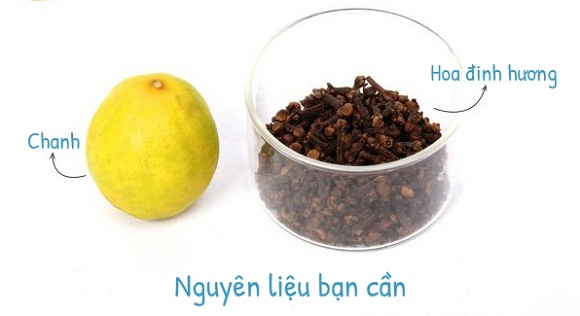 Công thức diệt muỗi siêu nhanh bằng chanh và hoa đinh hương 9