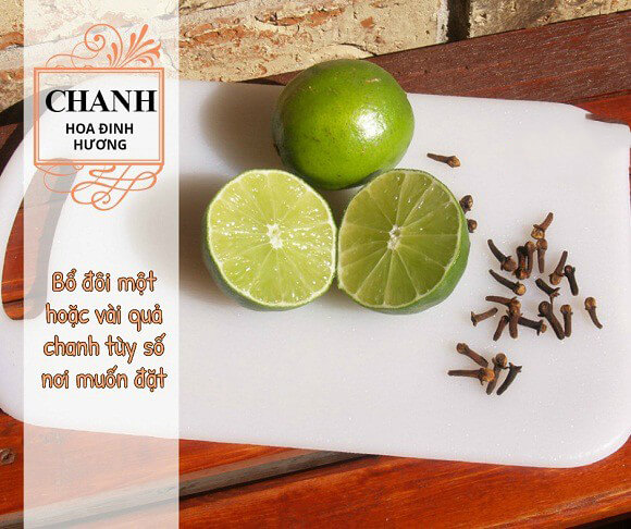 Công thức diệt muỗi siêu nhanh bằng chanh và hoa đinh hương 10