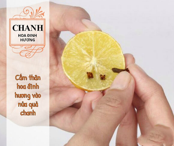 Công thức diệt muỗi siêu nhanh bằng chanh và hoa đinh hương 11