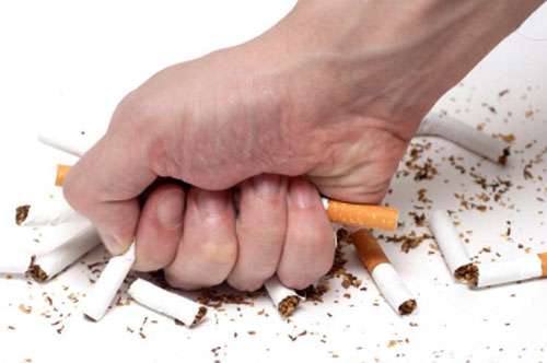 Cùng chàng chuẩn bị để có bé yêu khỏe mạnh 34 Be yeu khoe manh