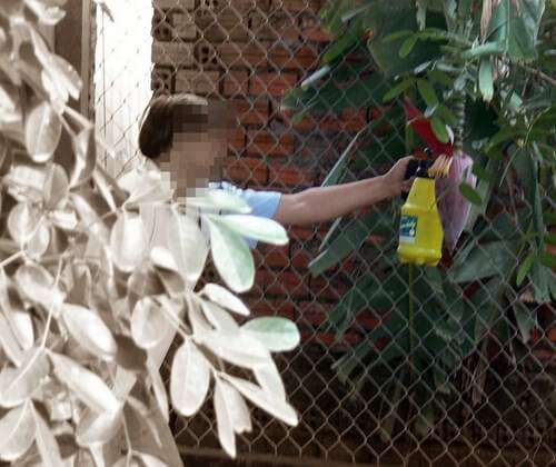Đáng sợ công nghệ "thúc" siêu tốc bắp chuối, chuối non 35 Đáng sợ công nghệ "thúc" siêu tốc bắp chuối, chuối non 7