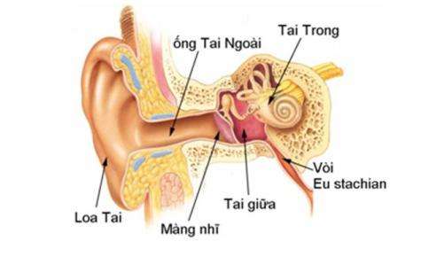 Dấu hiệu nhận ra bé đang bị viêm tai giữa 7