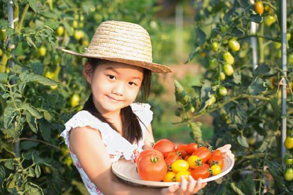 Để giúp bé thông minh, sáng tạo chỉ chất béo không thì... chưa đủ! 36 Môi trường giúp giúp trẻ thông minh