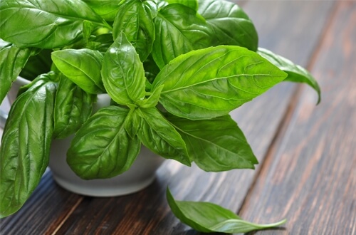 Điểm tên những thực phẩm không nên bảo quản trong tủ lạnh 43 hq