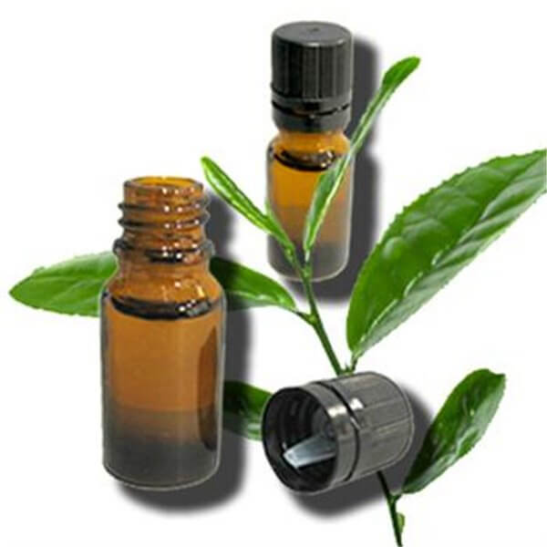 Đuổi mụn rộp ở môi rất dễ bằng nguyên liệu sẵn có 9