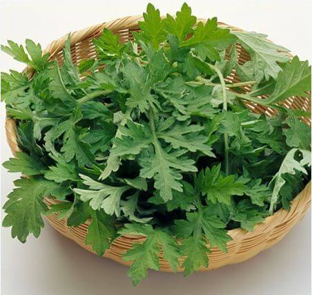 Giảm đau lưng bằng những loại rau củ dễ kiếm 36 Giảm đau lưng bằng những loại rau củ dễ kiếm 8
