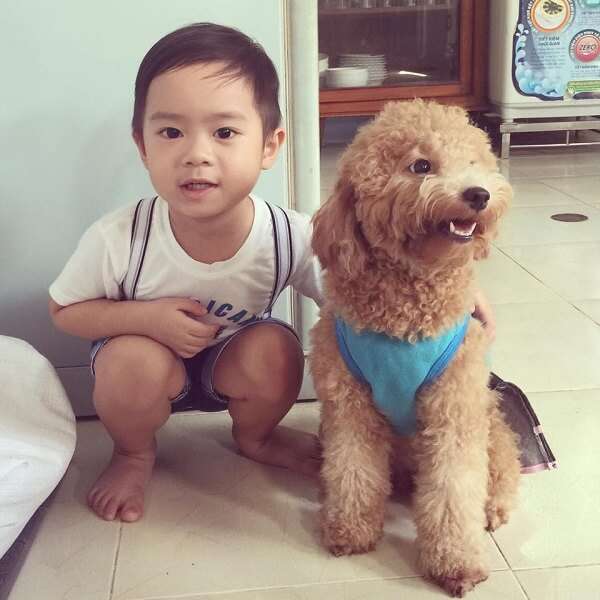 Giây phút xúc động bên bà nội của 2 nhóc tì nhà Lý Hải 15