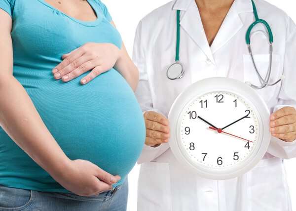 Giục sinh là gì và những điều cần biết 33 giục sinh