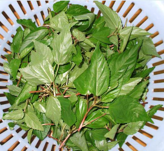 Gợi ý 3 món ăn giảm cân cho mẹ sau sinh 64 kinh-anh