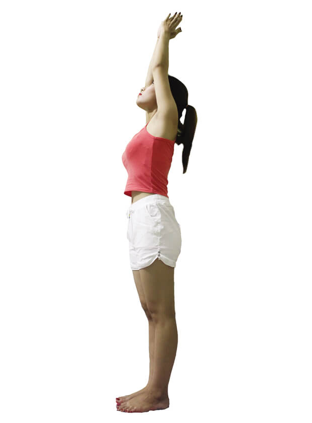 Gợi ý 4 bài tập yoga giúp tăng chiều cao cho người trưởng thành 56 Gợi ý 4 bài tập yoga giúp tăng chiều cao cho người trưởng thành 19