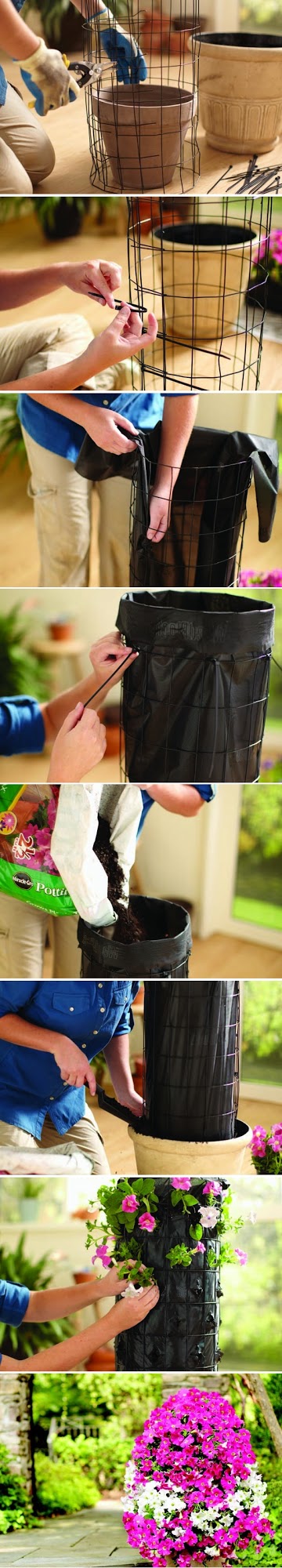 Gợi ý một vài ý tưởng trồng cây độc đáo cho nhà xinh đón Tết 49 Gợi ý một vài ý tưởng trồng cây độc đáo cho nhà xinh đón Tết 21
