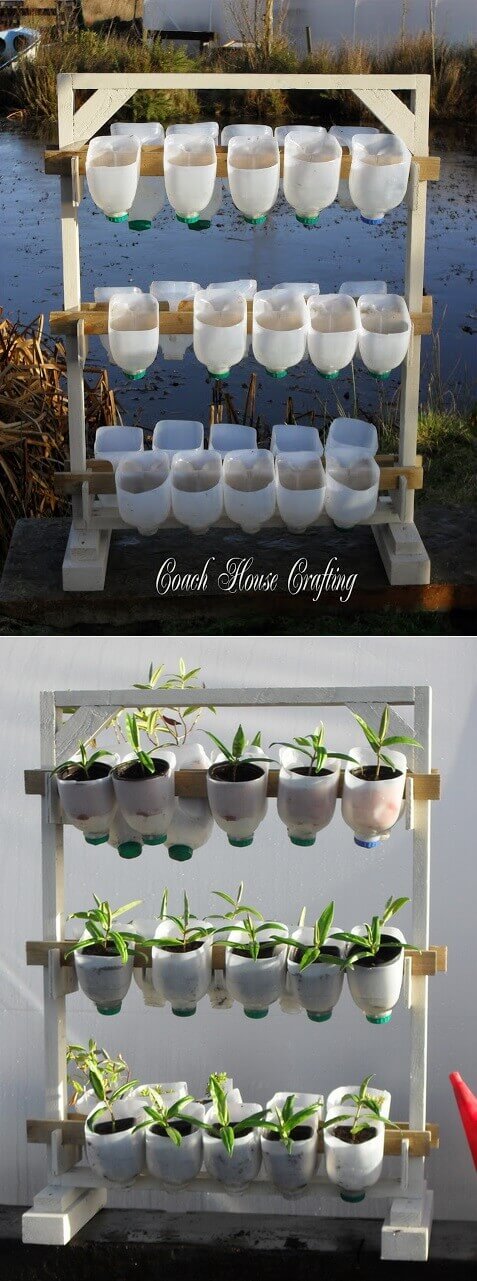 Gợi ý một vài ý tưởng trồng cây độc đáo cho nhà xinh đón Tết 52 Gợi ý một vài ý tưởng trồng cây độc đáo cho nhà xinh đón Tết 24