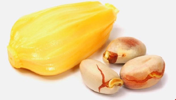 Hạt mít