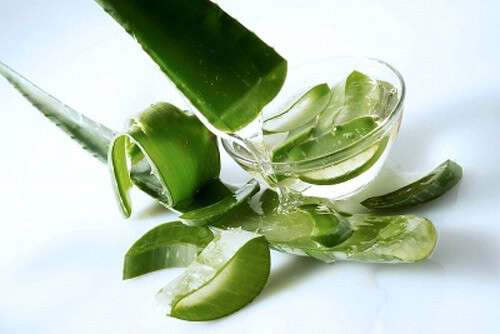 Hết rụng tóc sau sinh nhờ thảo mộc trong nhà 41 Hết rụng tóc sau sinh nhờ thảo mộc trong nhà 13