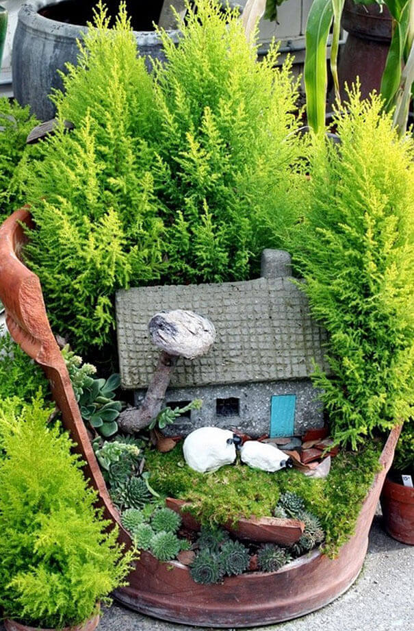 “Hô biến” chậu vỡ thành khu vườn đẹp như trong truyện cổ tích 60 ho-bien-chau-vo-thanh-chau-lanh-dep-nhu-trong-co-tich-