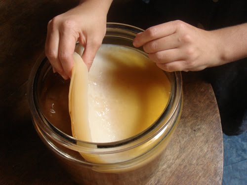 Học lỏm bí quyết nuôi giấm tại nhà khỏi lo hóa chất 7