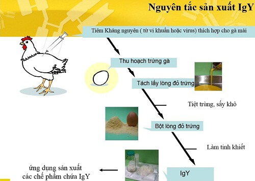 IGYGATE DC-PG - Ngọt ngào giây phút dành cho nhau 37 IGYGATE DC-PG - Ngọt ngào giây phút dành cho nhau 9