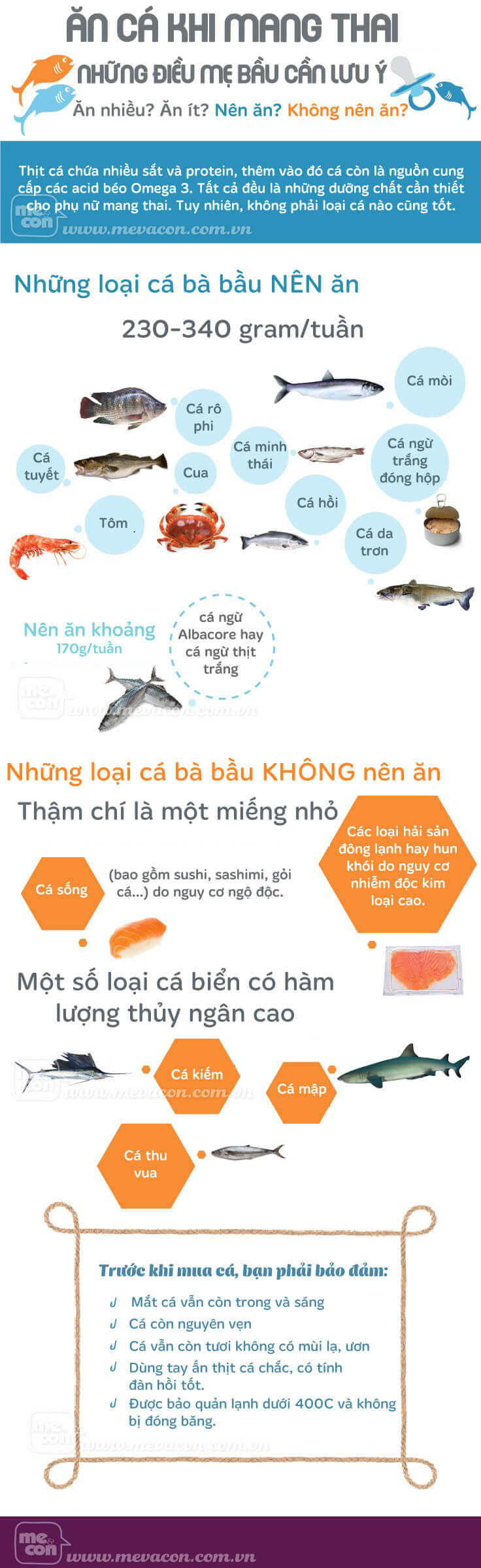 an ca khi mang thai