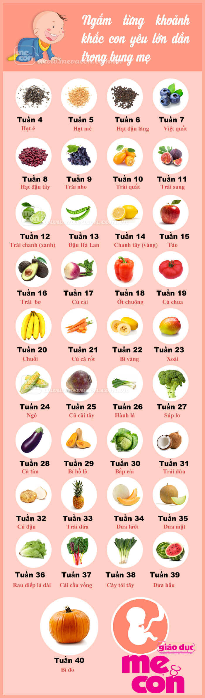 Infographic: Ngắm từng khoảnh khắc con yêu lớn dần trong bụng mẹ 33 su phat trien cua thai nhi theo tung tuan