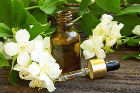 Khám phá những công dụng ít ai ngờ của hoa bưởi 7