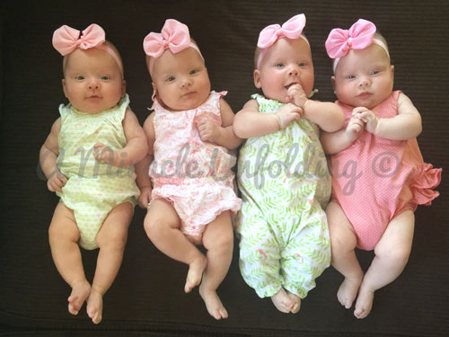 Khởi đầu năm mới với hình ảnh các bé sinh 4 cực kì hiếm 51 Khởi đầu năm mới với hình ảnh các bé sinh 4 cực kì hiếm 23