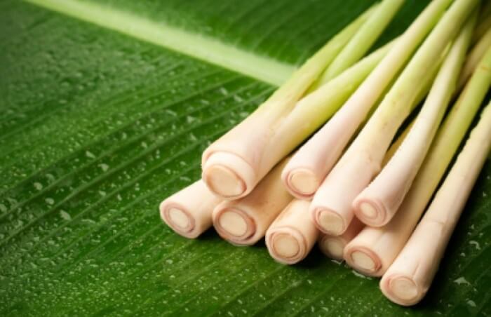Loại bỏ độc tố cho da mặt bằng 3 phương pháp xông hơi 36 cay-sa