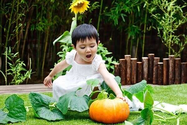 Lợi ích tuyệt vời khi dạy con trồng cây 34 Lợi ích tuyệt vời khi dạy con trồng cây 6