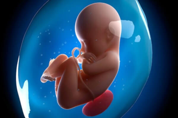 Lý giải 5 lý do thú vị khiến thai nhi nấc cụt trong bụng mẹ 38 Lý giải 5 lý do thú vị khiến thai nhi nấc cụt trong bụng mẹ 10