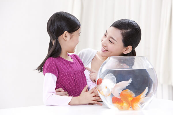 Mách mẹ 7 cách đơn giản giúp con bớt thụ động 39 Mách mẹ 7 cách đơn giản giúp con bớt thụ động 12